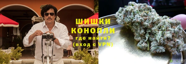 PSILOCYBIN Армянск