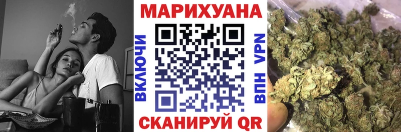 Канабис сатива Билибино